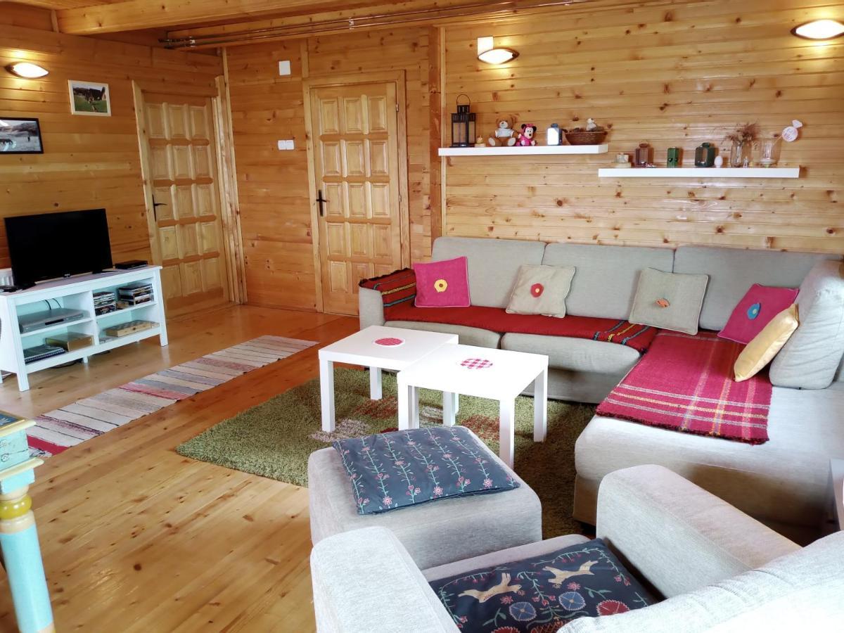 Boskovica Brvnare Country house *