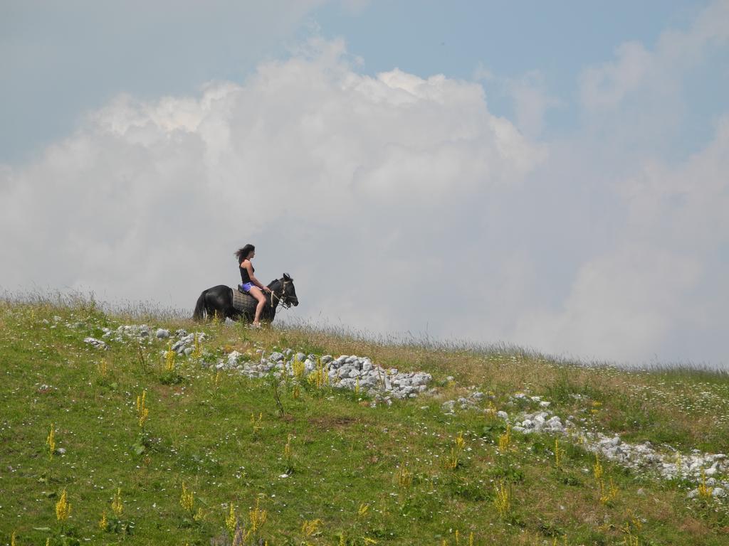 Boskovica Brvnare Séjour à la campagne Žabljak