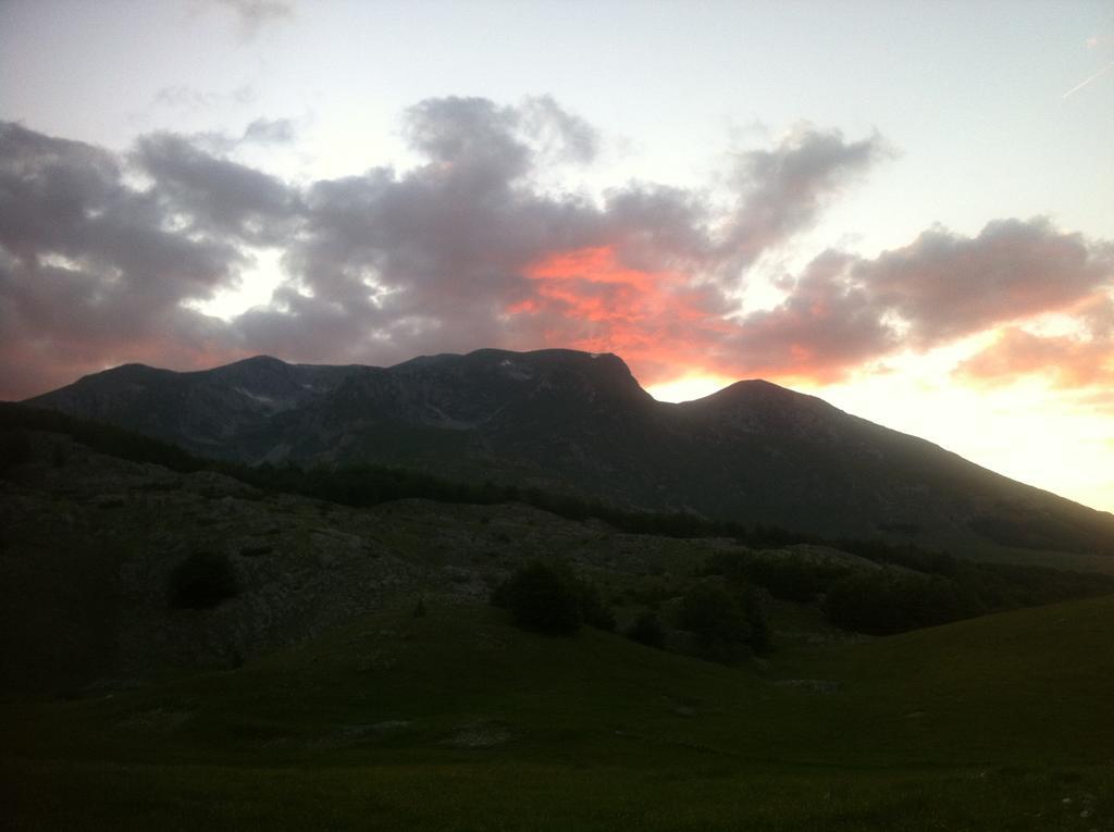 Boskovica Brvnare Žabljak
