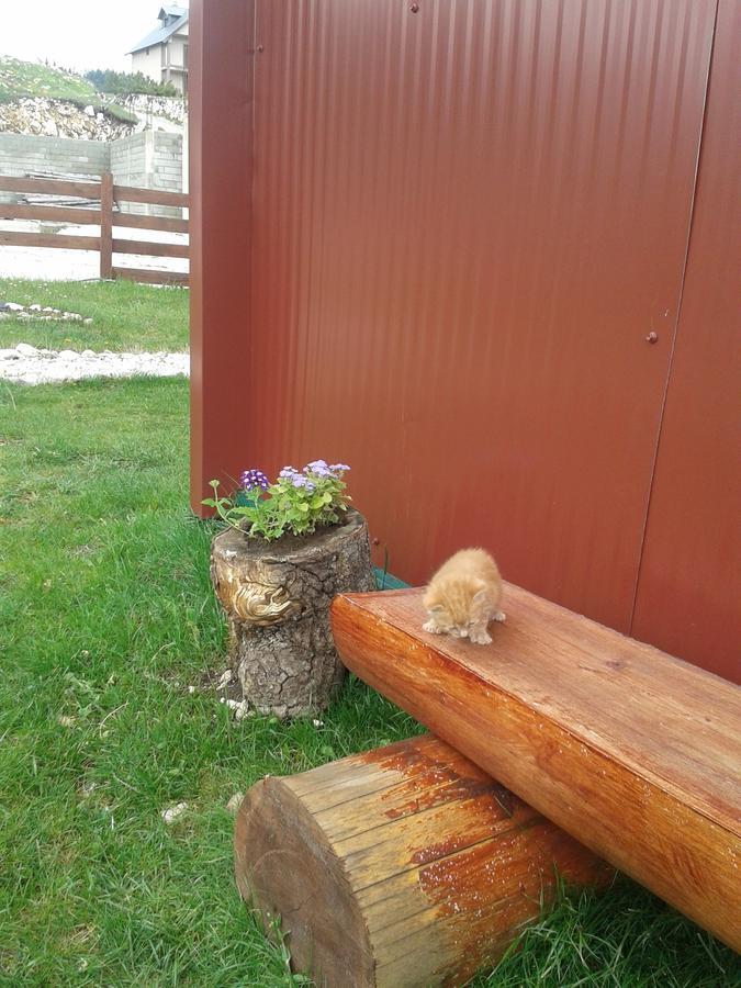 Boskovica Brvnare Séjour à la campagne Žabljak