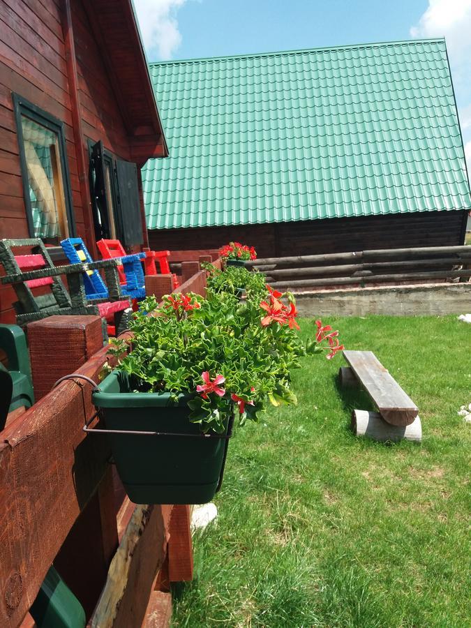 Boskovica Brvnare * Žabljak