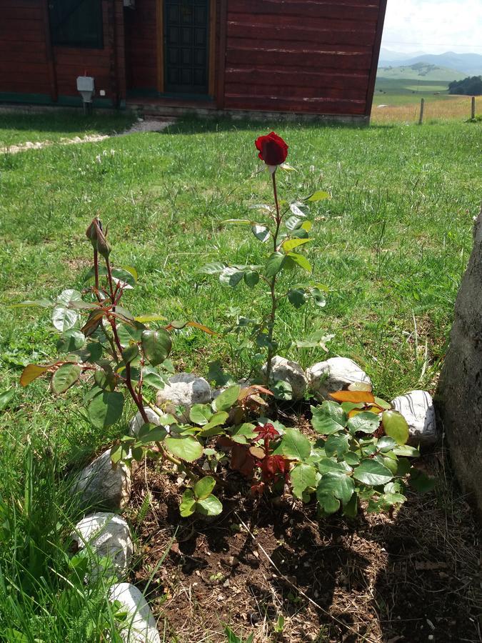 Country house Boskovica Brvnare *