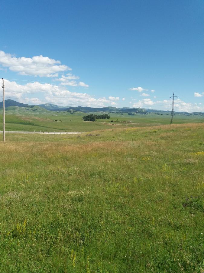 Boskovica Brvnare * Zabljak (Zabljak)