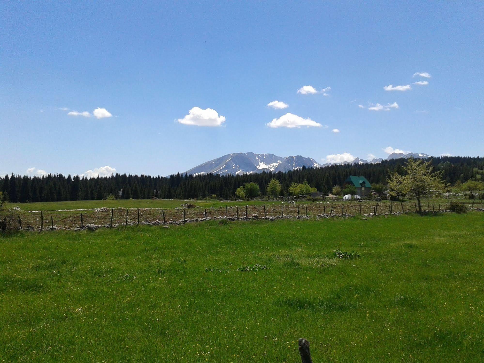 Boskovica Brvnare * Zabljak (Zabljak)