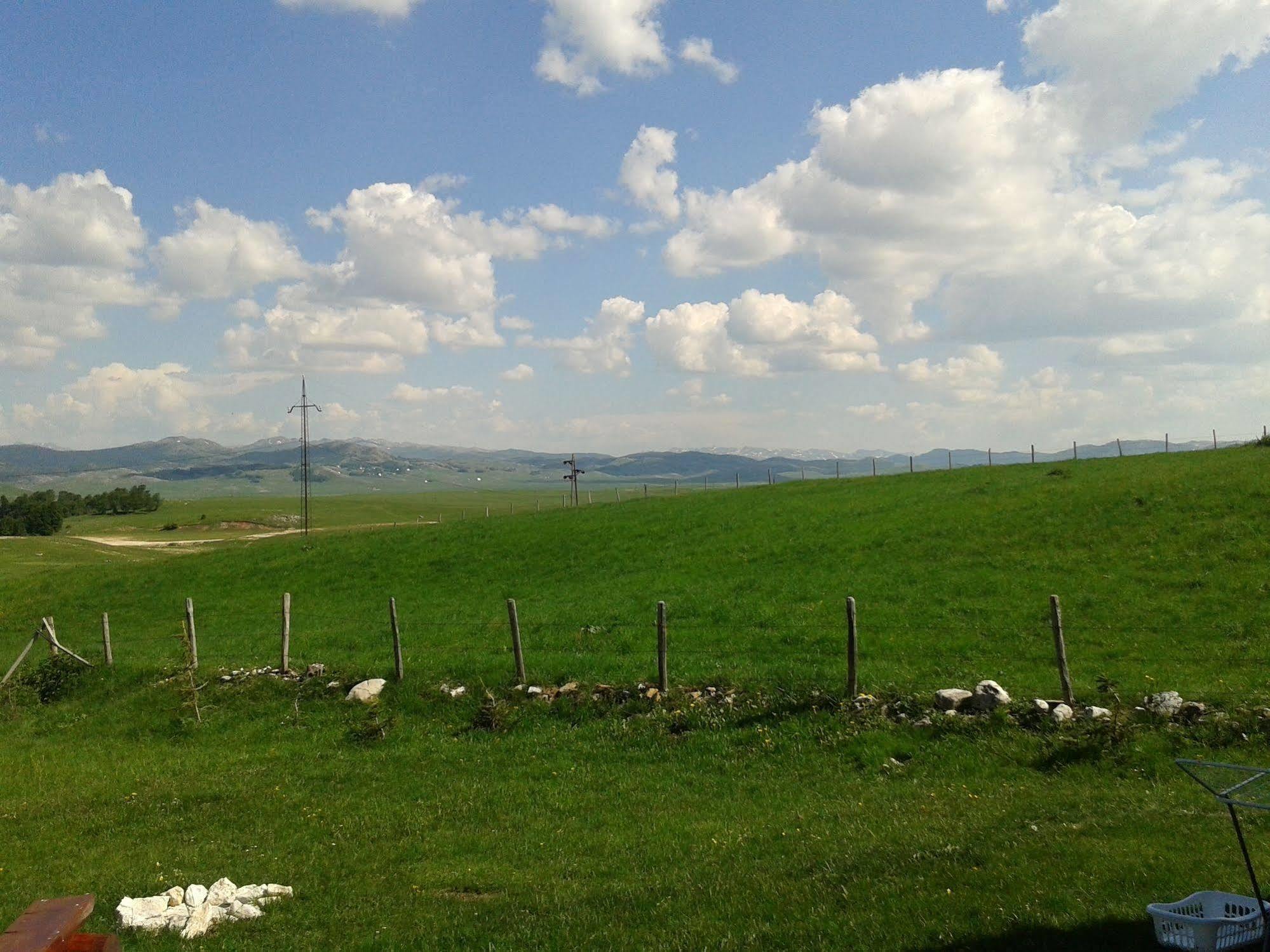 Boskovica Brvnare *