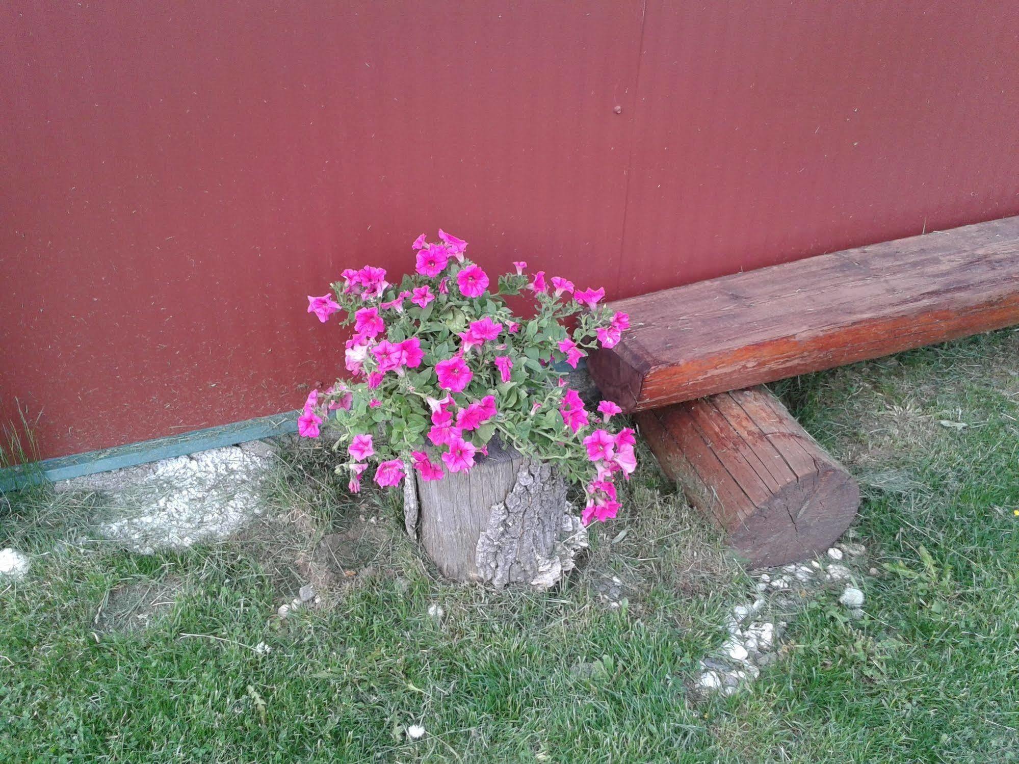 Country house Boskovica Brvnare *