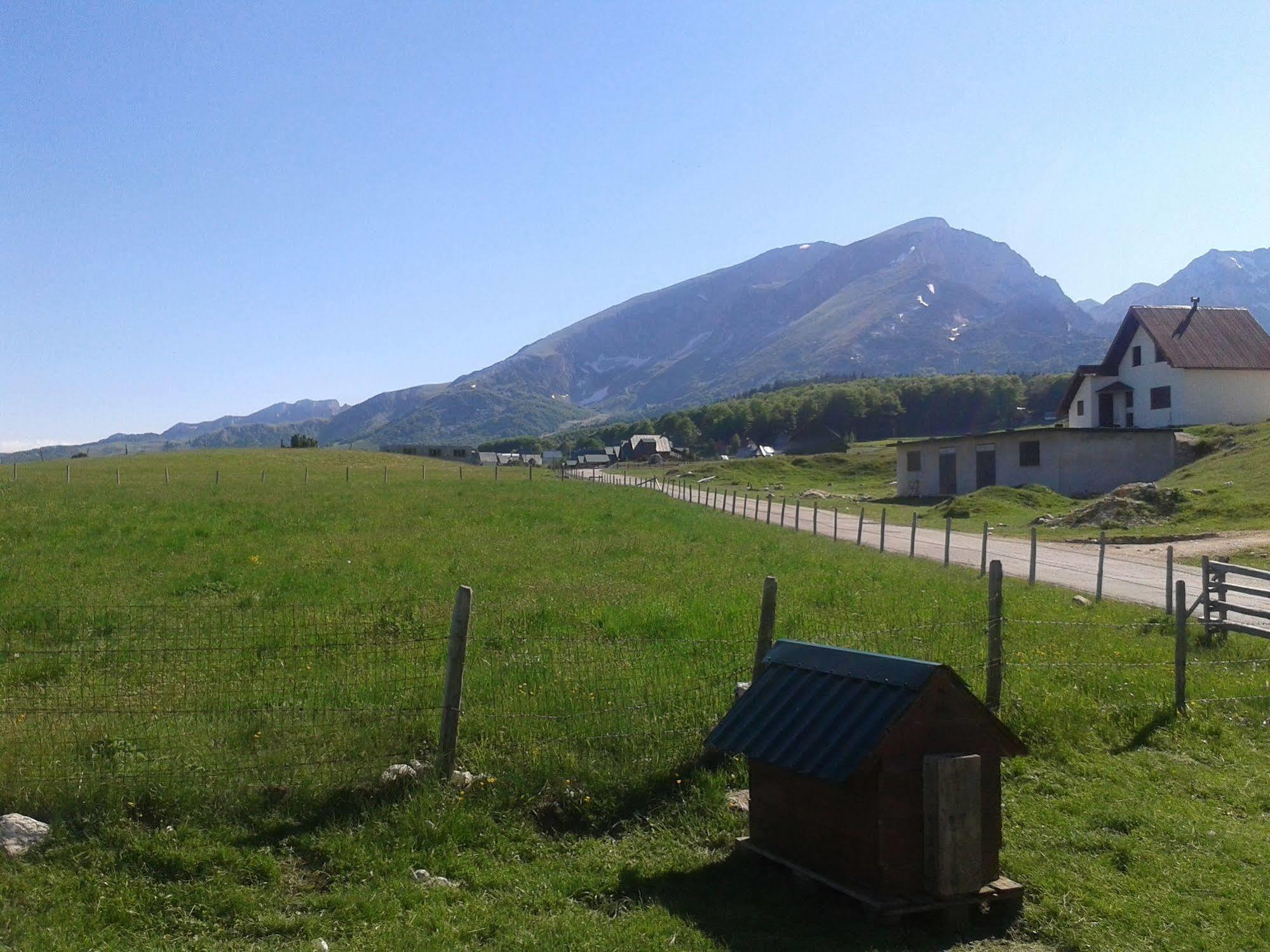 Boskovica Brvnare Country house Zabljak (Zabljak)