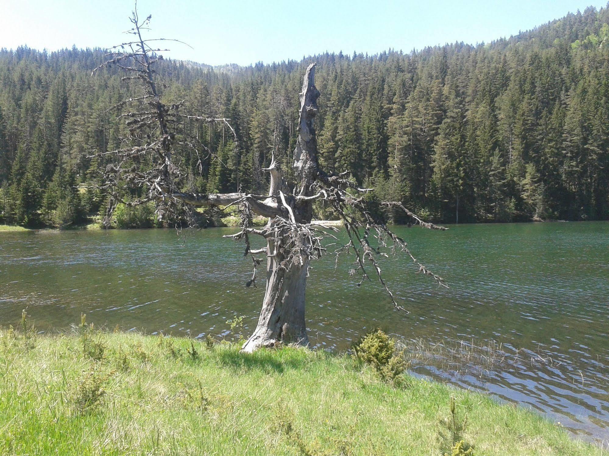 Boskovica Brvnare Séjour à la campagne *