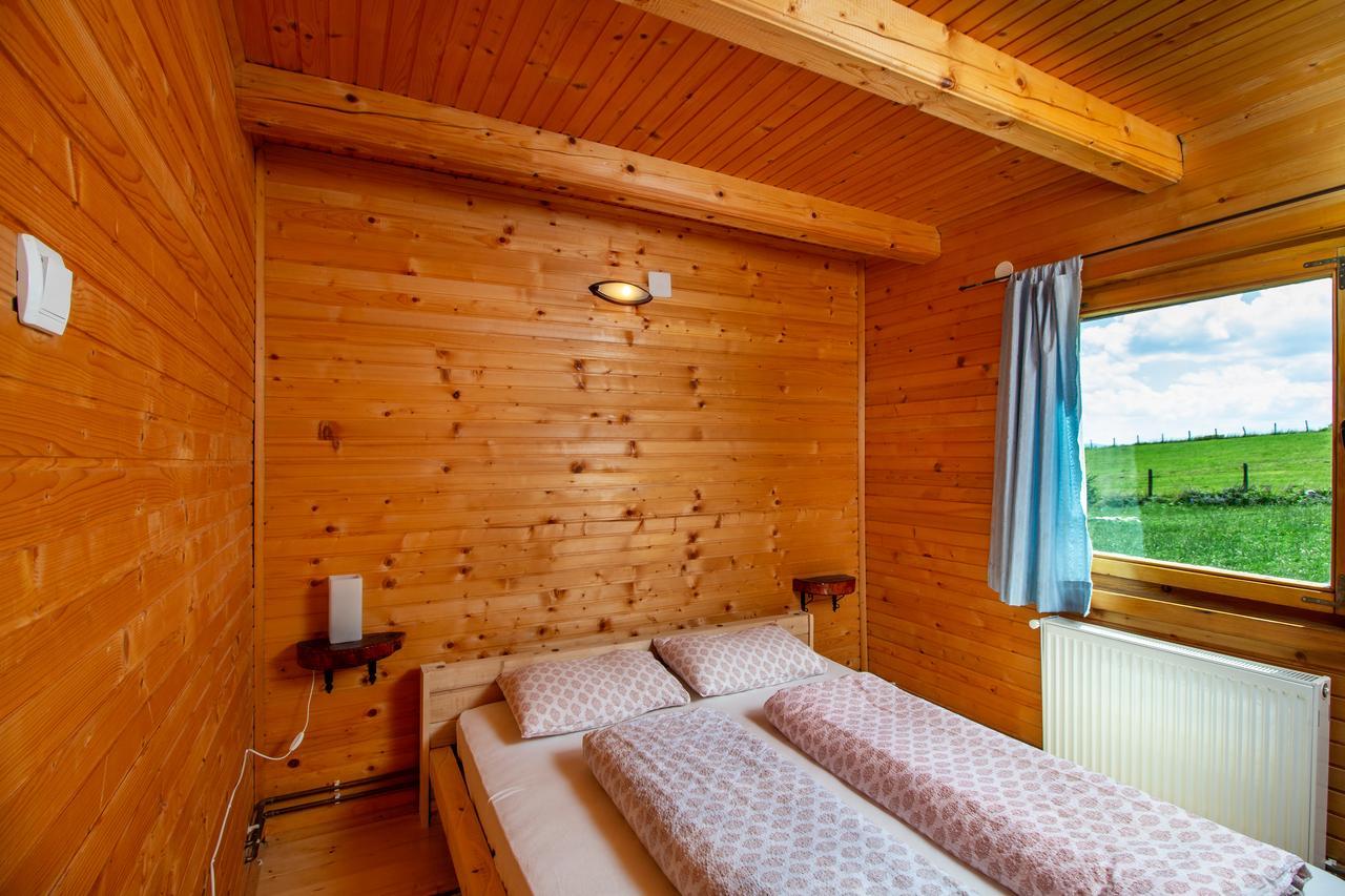 Boskovica Brvnare Country house